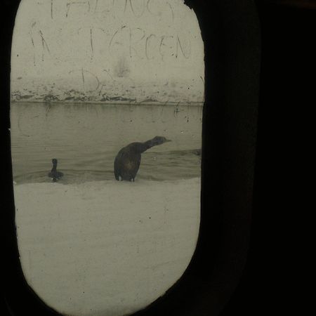 De Boot Hotel Merkem Bagian luar foto