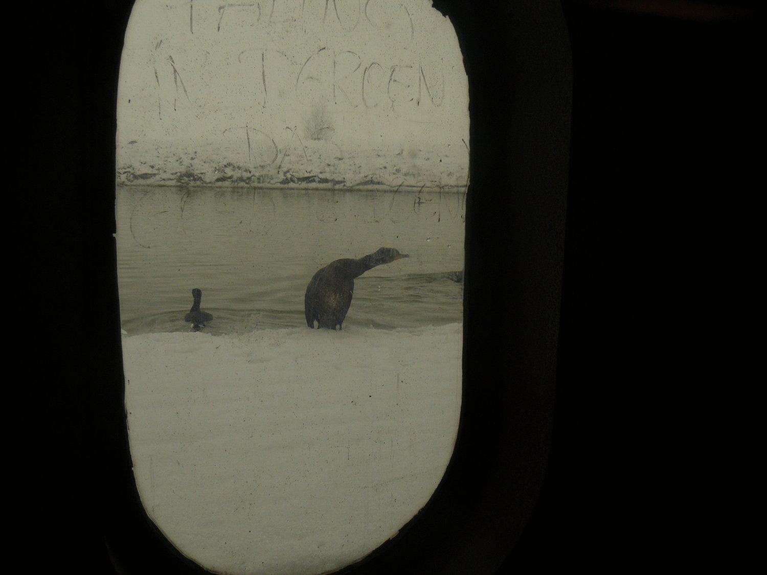 De Boot Hotel Merkem Bagian luar foto